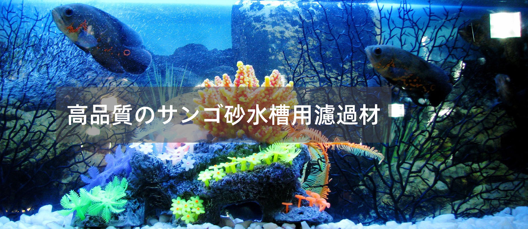 首页大轮换图1